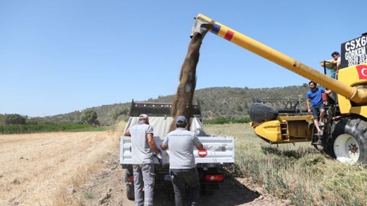 Bodrum Belediyesi akaryakıtını kendi üretiyor