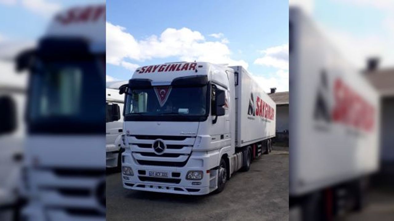 Romanya Bölgesi İçin Frigo ve Tenteli Nakliye Hizmetleri