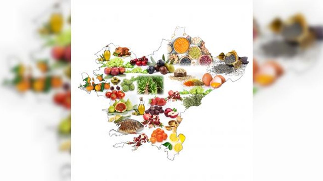 Ege’de tarım ihracatı 6,6 milyar dolara yükseldi