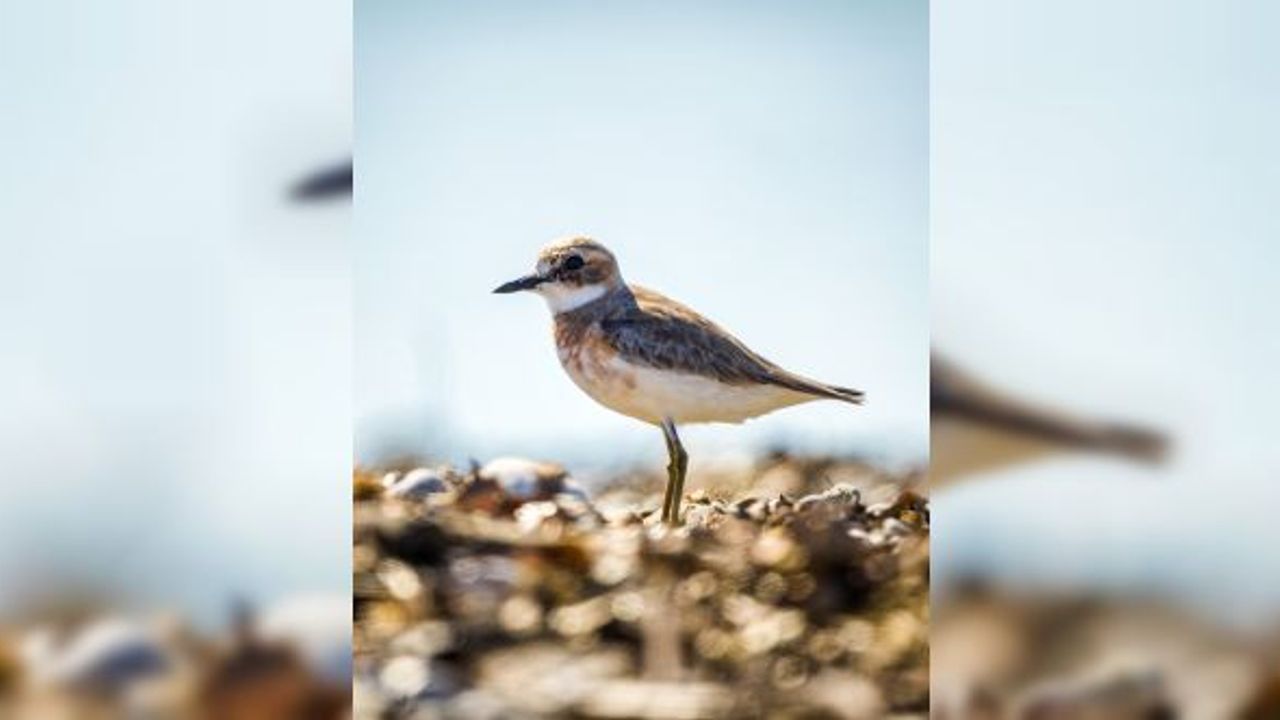 Doğaya Kanat Açtık projesinin 2023 yılındaki ilk rotası Antalya oldu