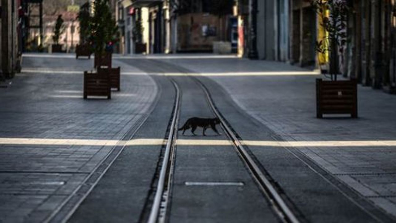 Sokağa Çıkma Yasağı Neler Getiriyor? 17-19 Nisan 2020