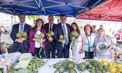 İZDENİZ’den Urla Enginar Festivali’ne özel sefer