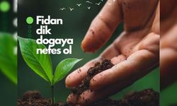 TLE Yazılım'dan İzmir ve Hatay'a fidan bağışı