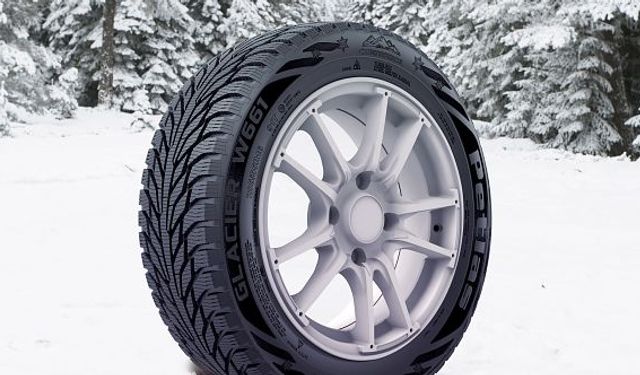 8 soruda kış lastiği