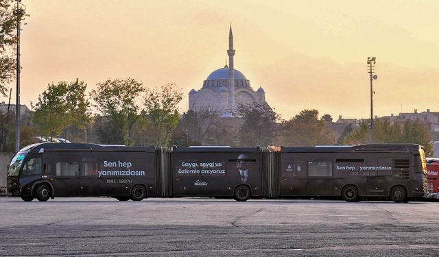 MİLLİ MATEMİN 87 YILI