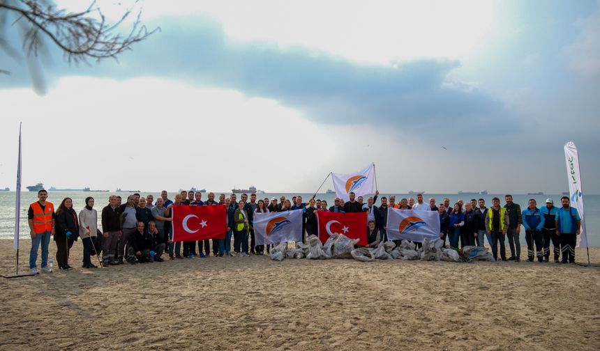 Temiz Sahiller İçin İkinci Durak Menekşe Plajı Oldu